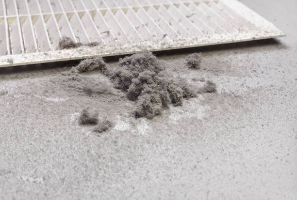 Best Commercial HVAC Duct Cleaning  in Carmel, IN